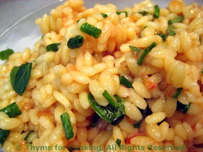 Tomato and Herb Orzo