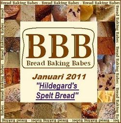 BBB logo januari 2011 BBB logo januari 2011